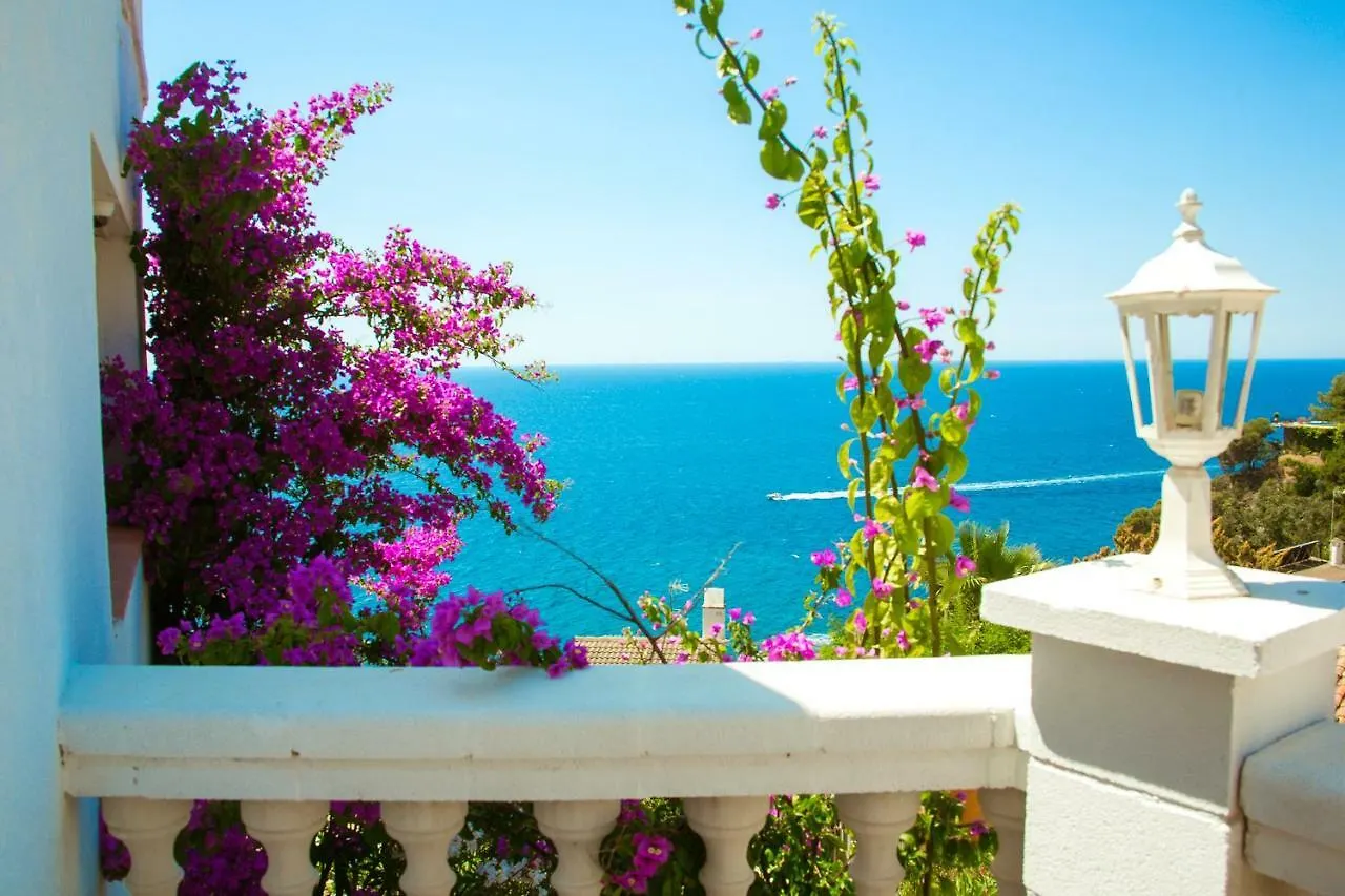 Villa Tortuga Lloret de Mar